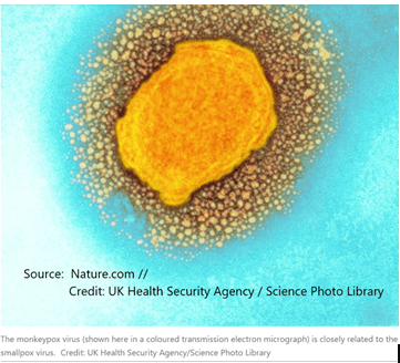 Monkeypox ? 你对猴痘了解多少？>
